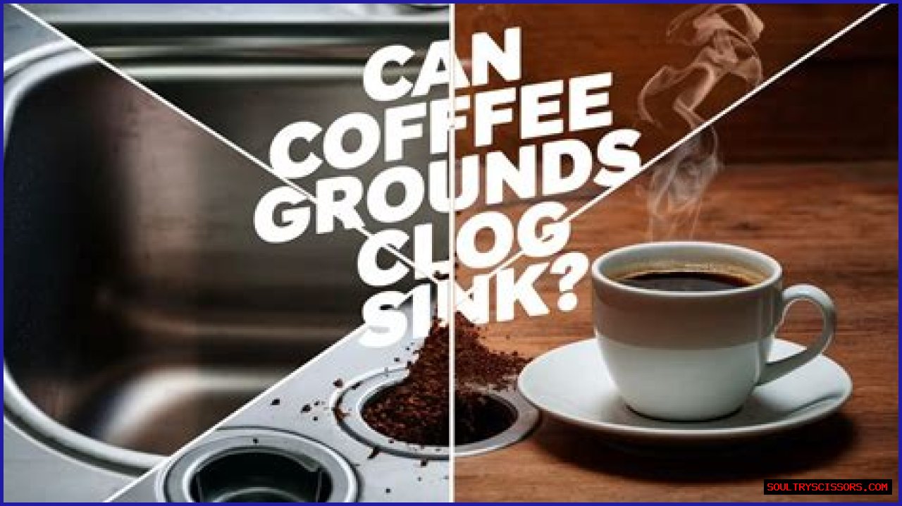 Can Coffee Grounds Go Down Sink?