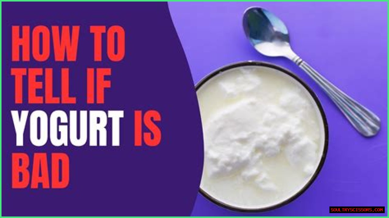 Can Eating Expired Yogurt Hurt You?