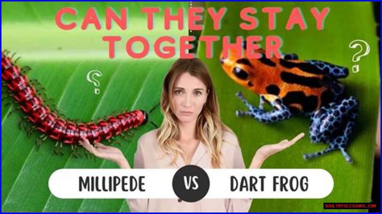 Can I keep millipedes with dart frogs?