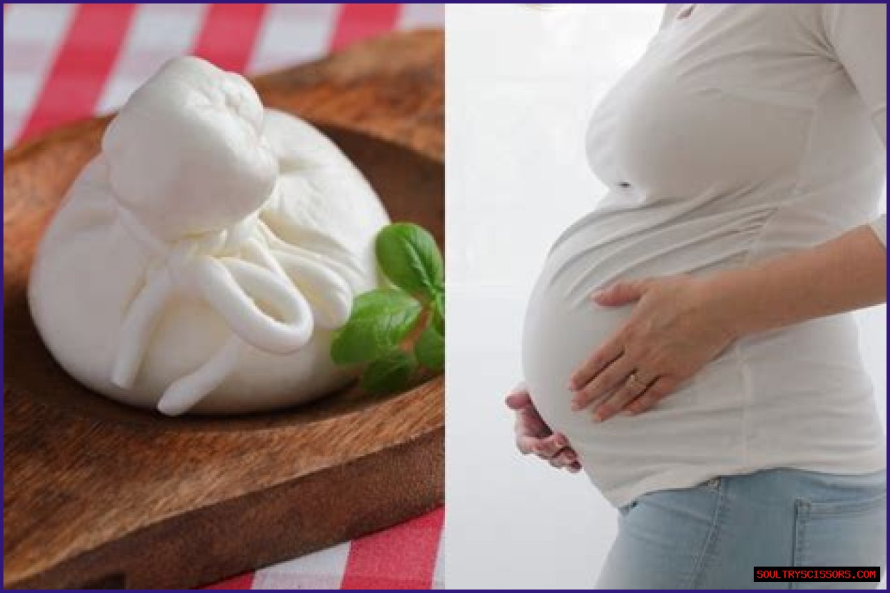 Can You Eat Burrata Cheese When Pregnant?