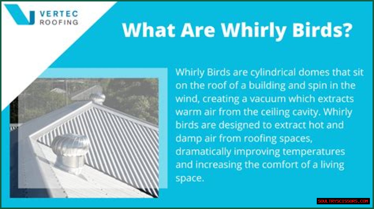 Do Whirly Birds Work? - Kylon Powell