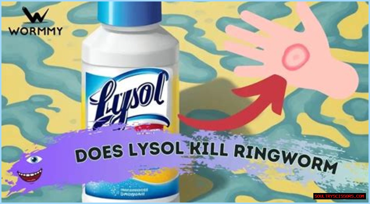 Does lysol spray kill ringworm?