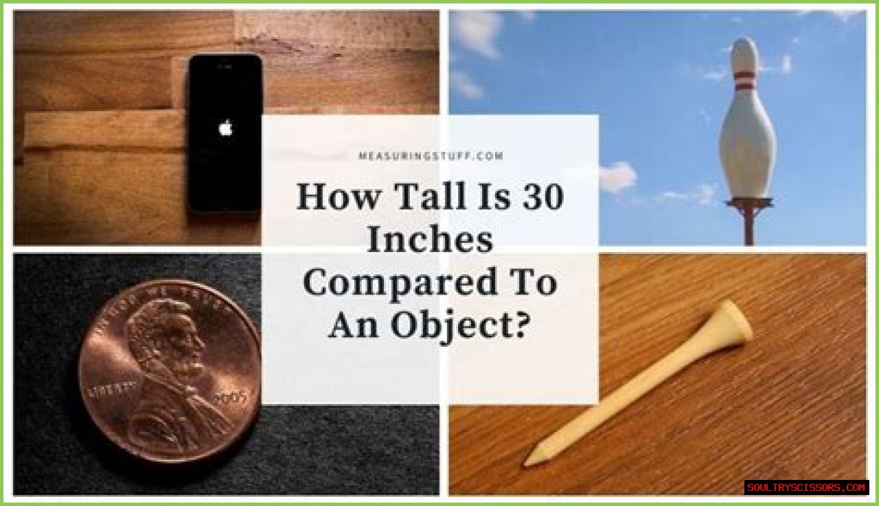 How Tall is 30 Inches?