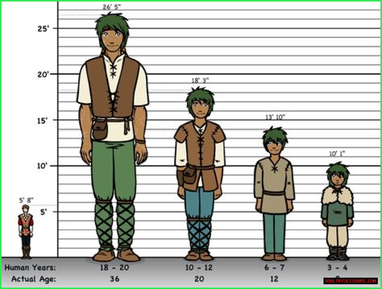 How Tall is 54 Inches?