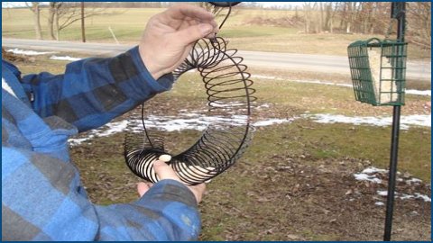 How To Put A Slinky On A Bird Feeder Pole?