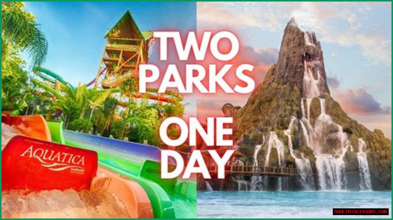 Is Volcano Bay or Aquatica better?