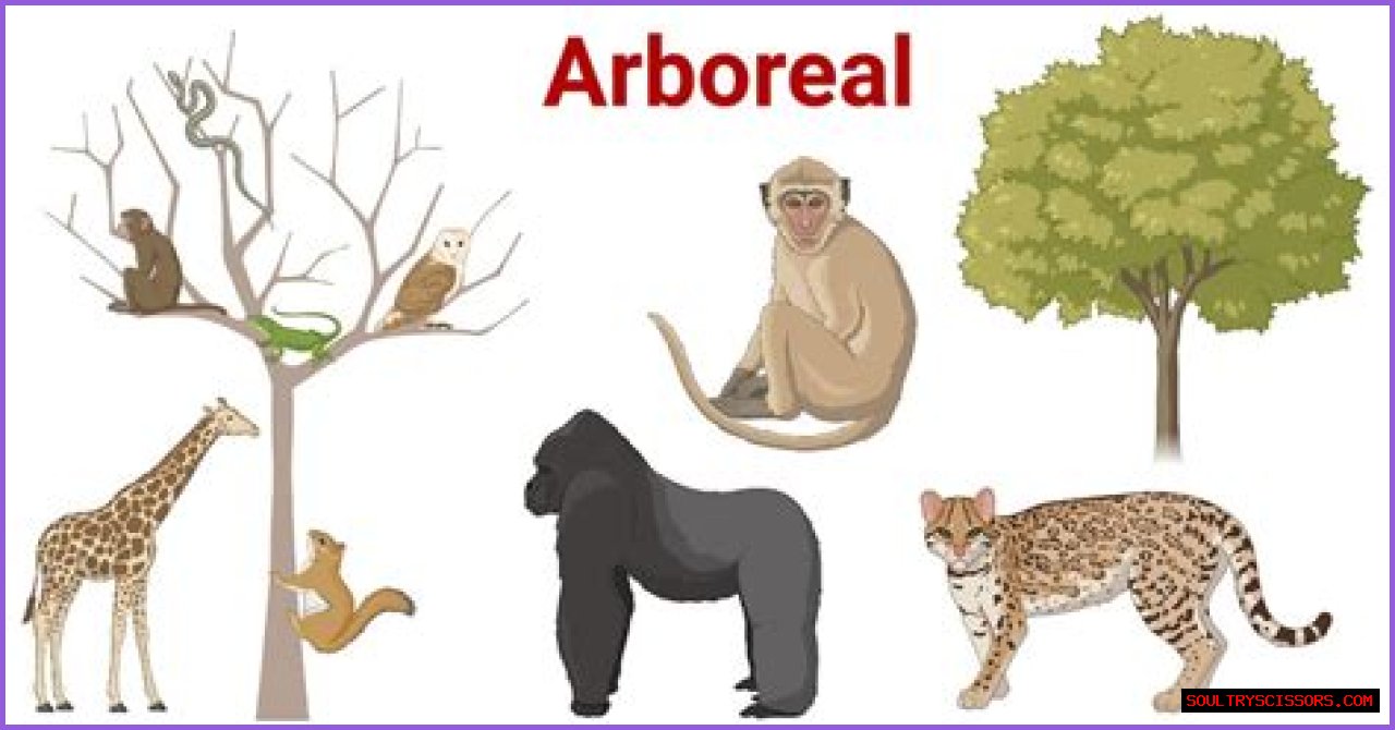 Place for an arboreal animal
