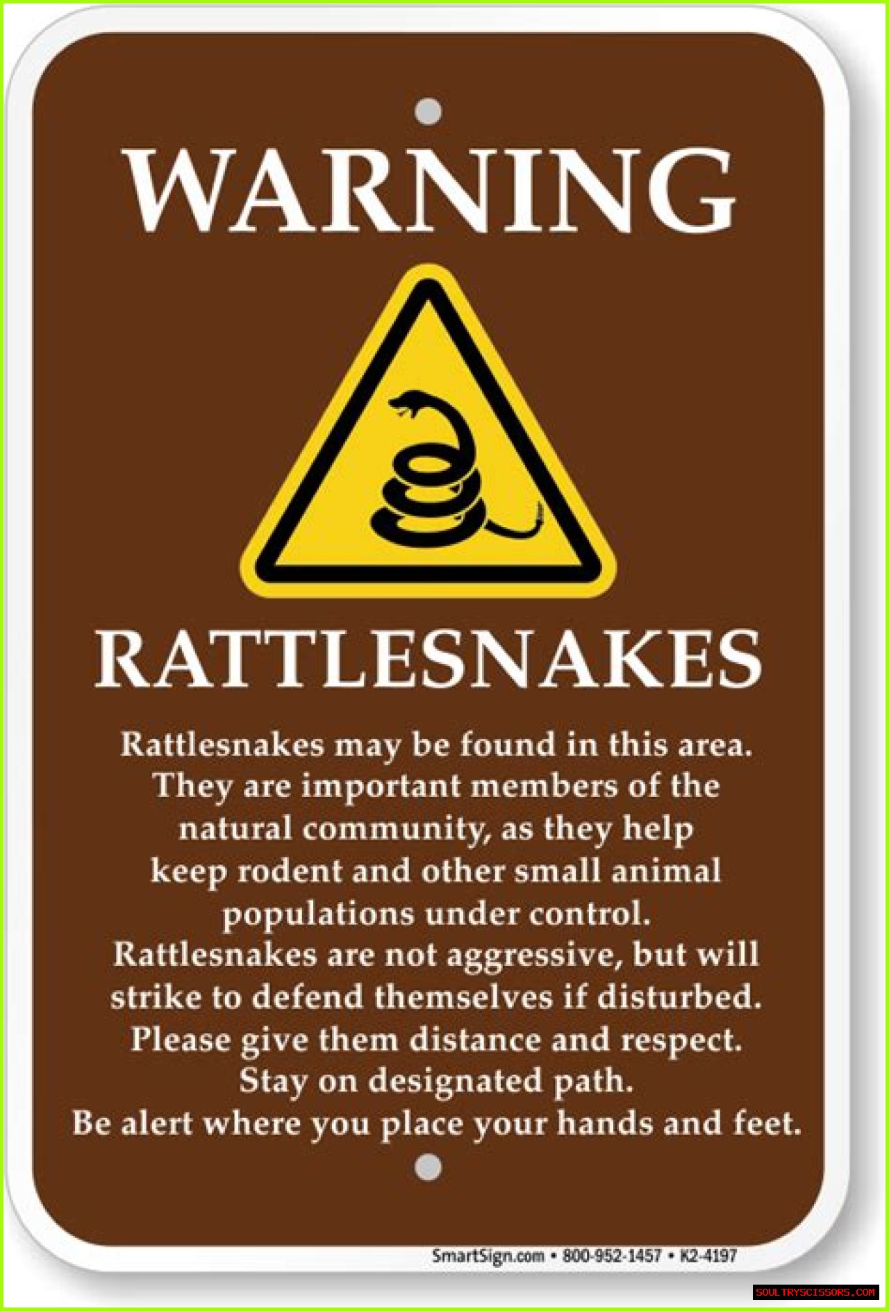 Rattlesnake's warning