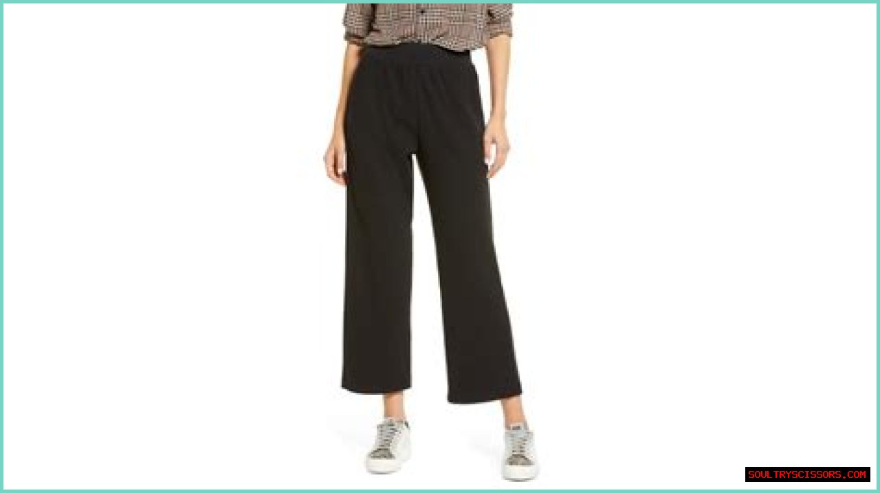 Treasure & Bond Wide-Leg Pants From Nordstrom Are Total Must-Haves