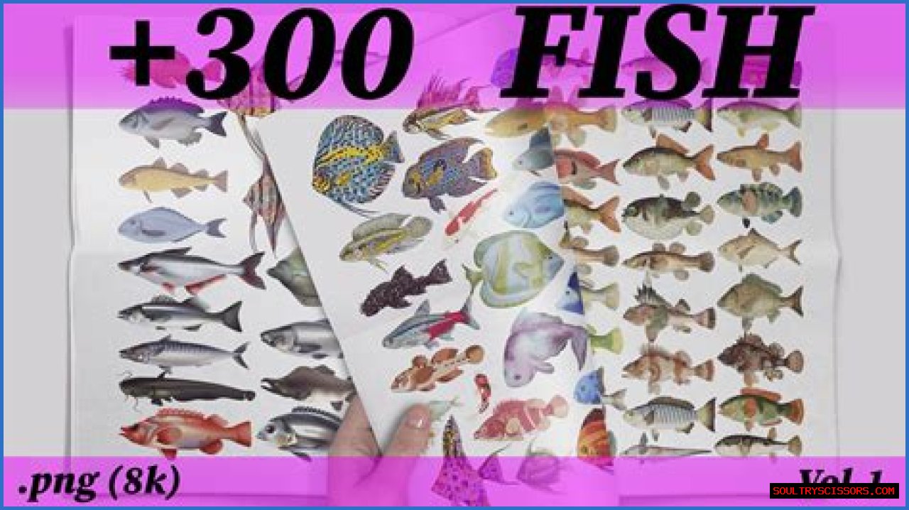 Tuna, Salmon, Tilapia, Flounder, Halibut